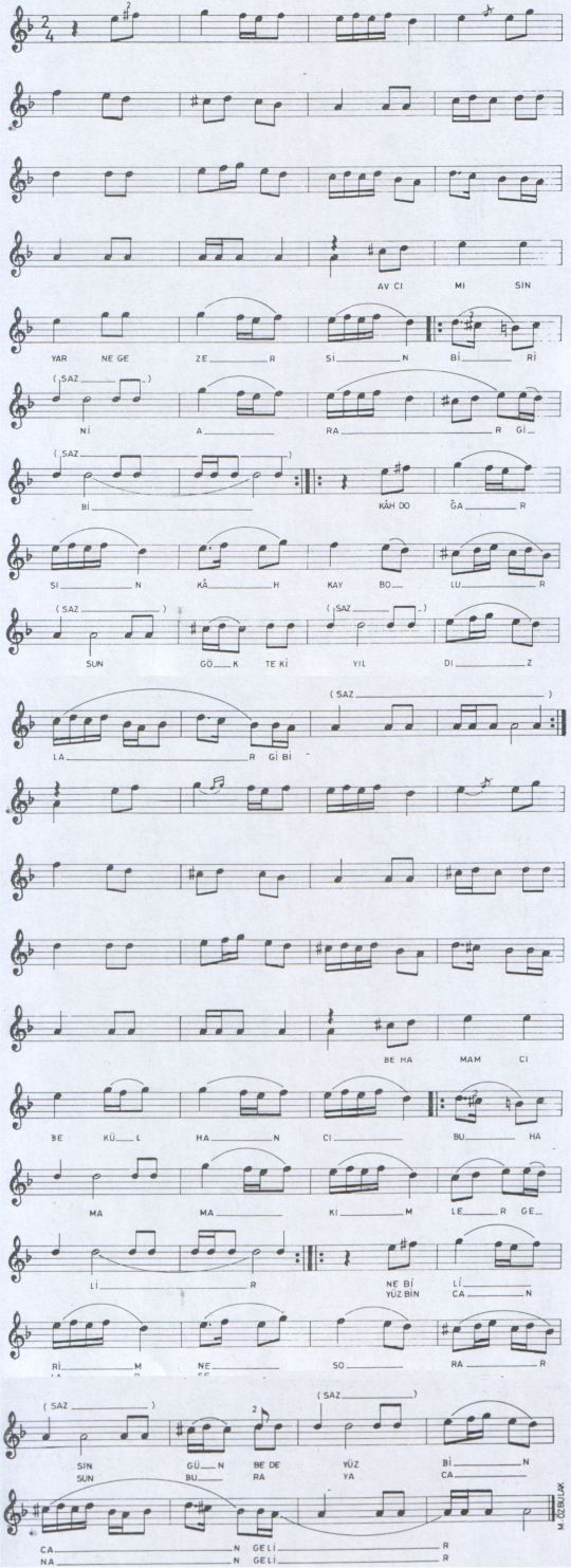 Avc� M�s�n Yar Ne Gezersin T�rk�s�n�n Notas�