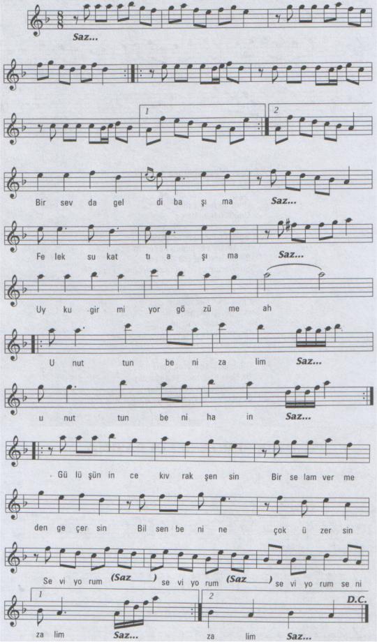 Bir Sevda Geldi Ba��ma T�rk�s�n�n Notas�