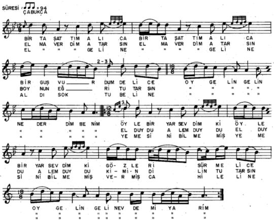 Bir Ta� Att�m Al�ca T�rk�s�n�n Notas�