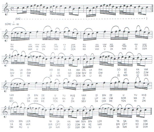 Bu Kavak Me�e Kavak T�rk�s�n�n Notas�