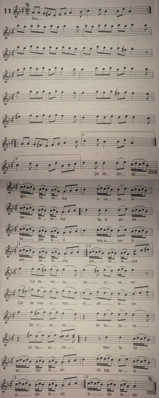 �al�ns�n D���n Havam�z T�rk�s�n�n Notas�