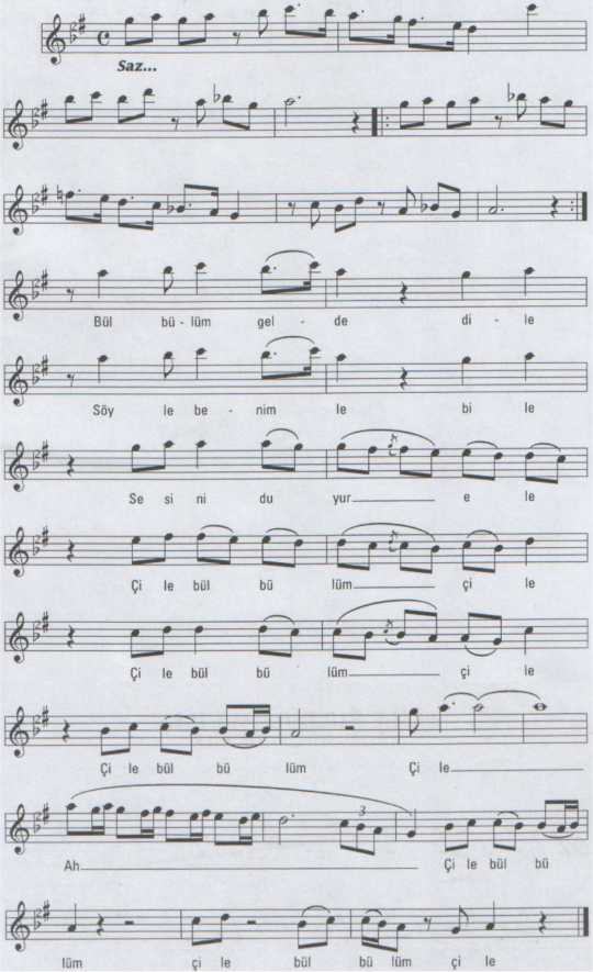�ile B�lb�l�m �ile T�rk�s�n�n Notas�