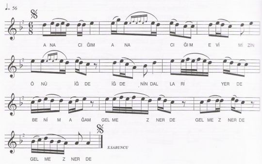 Evimizin �n� ��de T�rk�s�n�n Notas�