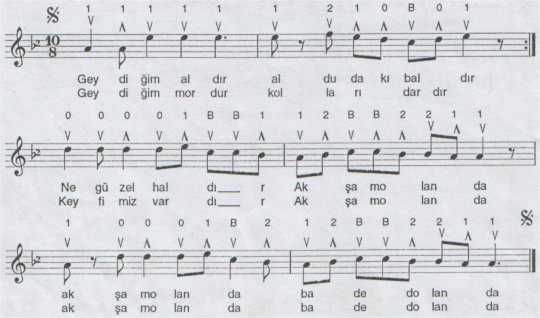 Geydi�im Sar� T�rk�s�n�n Notas�