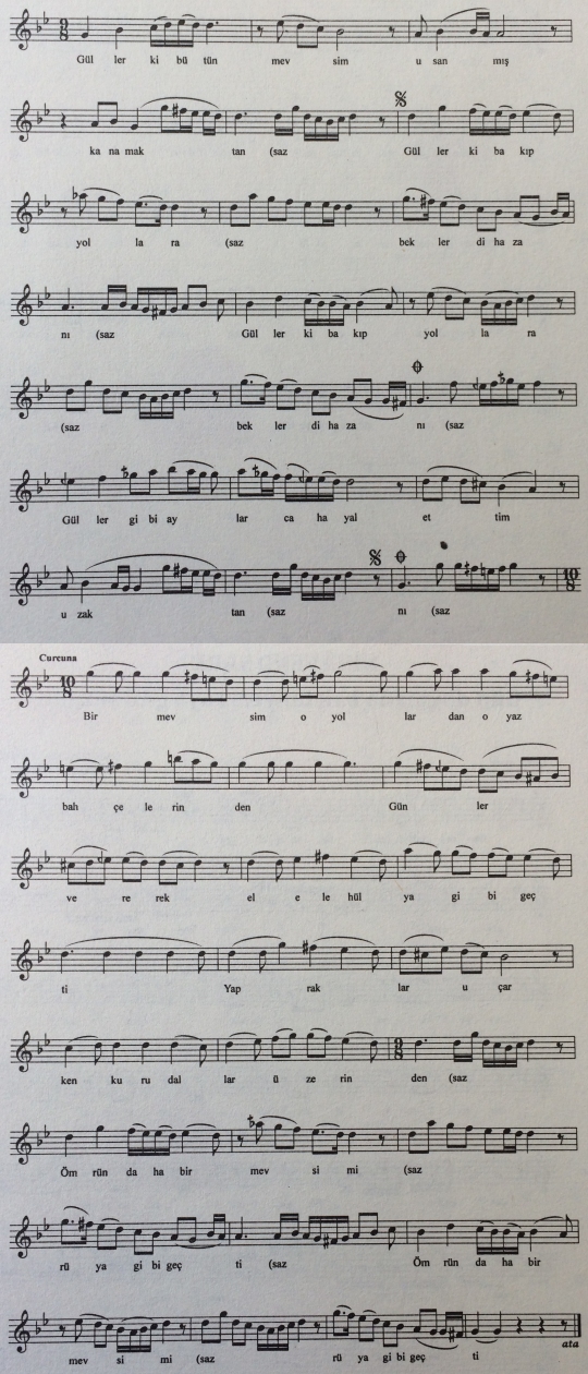 G�ller T�rk�s�n�n Notas�