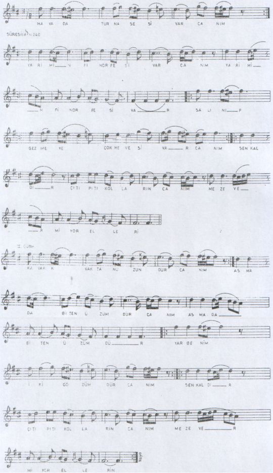 Havada Turna Sesi Var T�rk�s�n�n Notas�
