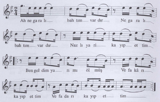 Ne Karal� Baht�m Vard�r T�rk�s�n�n Notas�