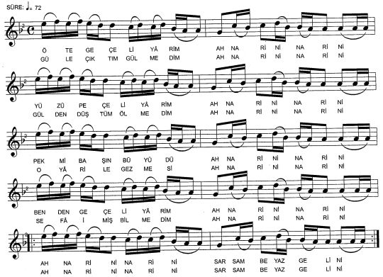 �te Ge�eli Yarim T�rk�s�n�n Notas�