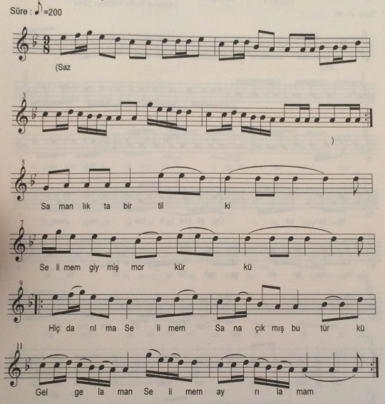 Selime'm T�rk�s�n�n Notas�